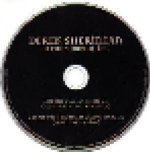 Derek Sherinian: In The Summertime (Promo-Single-CD) - Bild 1