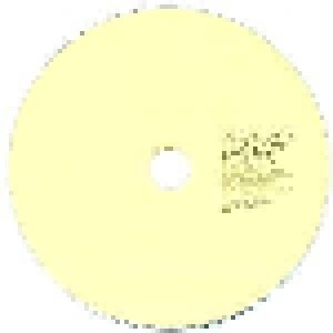Grizzly Bear: Yellow House (CD) - Bild 3