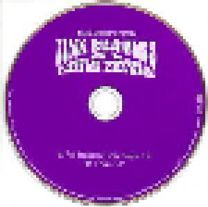Arjen Anthony Lucassen: Pink Beatles In A Purple Zeppelin (Promo-Single-CD) - Bild 3