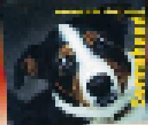 Polo Hofer & Die SchmetterBand: Sennehund - Cover