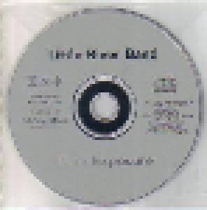 Little River Band: Time Exposure (CD) - Bild 3