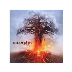 Amorphis: Skyforger (CD) - Bild 1