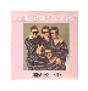 The Party Boys: Greatest Hits (Of Other People) (12") - Bild 1