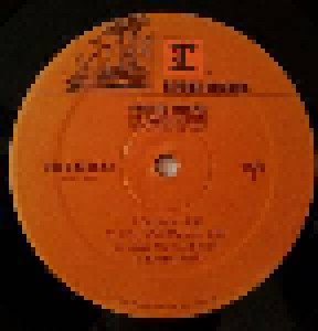 Stevie Nicks: 24 Karat Gold: Songs From The Vault (2-LP) - Bild 7