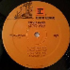 Stevie Nicks: 24 Karat Gold: Songs From The Vault (2-LP) - Bild 9