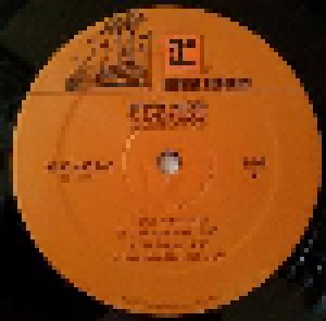 Stevie Nicks: 24 Karat Gold: Songs From The Vault (2-LP) - Bild 10