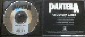 Pantera: Cemetery Gates (Promo-Single-CD) - Bild 2