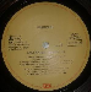 The Best Of 1980-1990 Vol. 03 (2-LP) - Bild 3