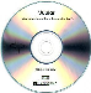 Devin Townsend Project: Juular (Promo-Single-CD-R) - Bild 4