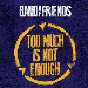 Cover - Band Of Friends: Too Much Is Not Enough