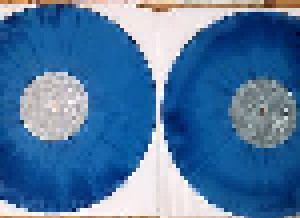 Baroness: Blue Record (2-LP) - Bild 2