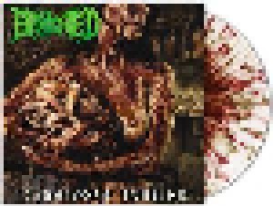 Benighted: Carnivore Sublime (LP) - Bild 6