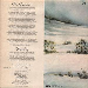Peter Green: White Sky (LP) - Bild 2