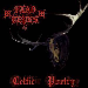 Vlad Tepes: Celtic Poetry (Mini-CD / EP) - Bild 1