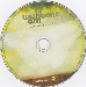 Wishbone Ash: Elegant Stealth (CD + DVD) - Bild 3