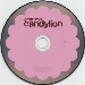 Gruff Rhys: Candylion (CD) - Bild 3