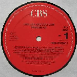 Lisa Lisa & Cult Jam: Spanish Fly (LP) - Bild 5