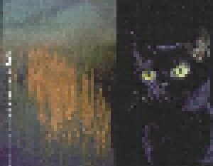 Andrew Lloyd Webber: Highlights From Cats (CD) - Bild 4