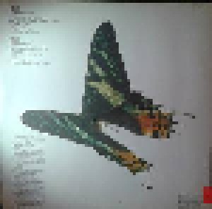 Bobby Goldsboro: A Butterfly For Bucky (LP) - Bild 2