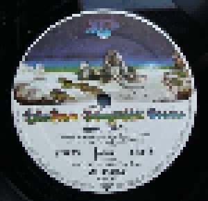 Yes: Tales From Topographic Oceans (2-LP) - Bild 9