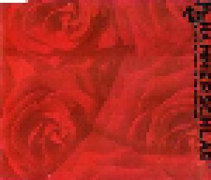 Hammerschlag: Rote Rosen - Instrumentale (Mini-CD / EP) - Bild 1