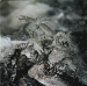 Aphonic Threnody: When Death Comes (CD) - Bild 1