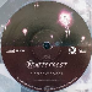 Nattefrost: Different Stages (LP) - Bild 3