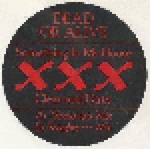 Dead Or Alive: Something In My House (Promo-12") - Bild 1