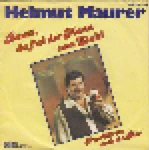 Cover - Helmut Maurer: Bautz, Da Fiel Der Mann Vom Stuhl