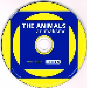 The Animals: Animalisms (CD) - Bild 4