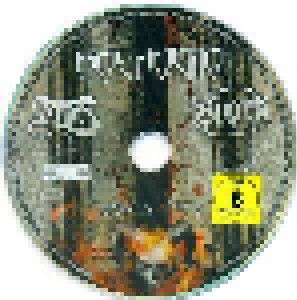 Moshquito + Xiom + Argus: III Decades - Live Im "E-Werk" (Split-2-DVD) - Bild 4