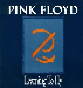 Pink Floyd: Learning To Fly (12") - Bild 1