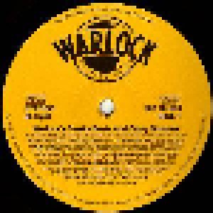 Warlock's Freaky Beats And Crazy Grooves (LP) - Bild 2