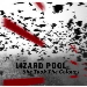 Lizard Pool: She Took The Colours (CD) - Bild 1