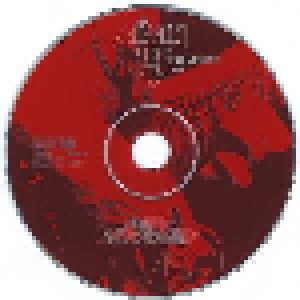 Alvin Lee: The Anthology (2-CD) - Bild 4