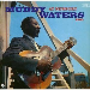 Muddy Waters: At Newport 1960 (LP) - Bild 2