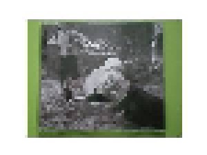 Grant Lee Buffalo: Mockingbirds (Single-CD) - Bild 1