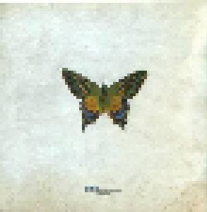 Flying Colors: Second Nature (CD) - Bild 8