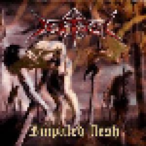 Cover - Ritual: Impaled Flesh