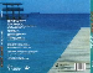 Devon Allman: Turquoise (CD) - Bild 2