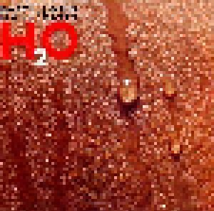 Daryl Hall & John Oates: H2o (LP) - Bild 1