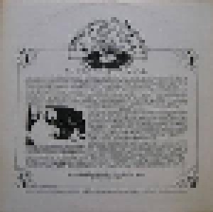 Electric Light Orchestra: Freedom City Pandemonium (LP) - Bild 2