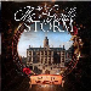 The Gentle Storm: The Diary (3-LP + 2-CD + 7") - Bild 3