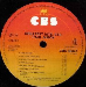 Paul Simon: Greatest Hits, Etc. (LP) - Bild 3