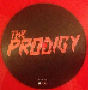 The Prodigy: The Day Is My Enemy (3-LP) - Bild 5