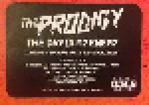 The Prodigy: The Day Is My Enemy (3-LP) - Bild 10