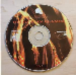 Bleiburg: History In Flames (2-CD-R) - Bild 6