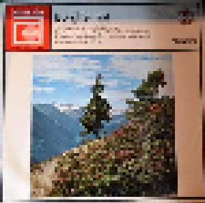 Cover - Tiroler Buam, Die: Bergheimat