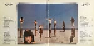 The Beach Boys: 66/69 (2-LP) - Bild 2
