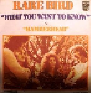 Rare Bird: What You Want To Know (7") - Bild 1